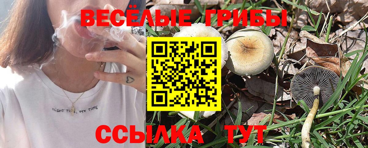 Псилоцибиновые грибы мухоморы Карпинск