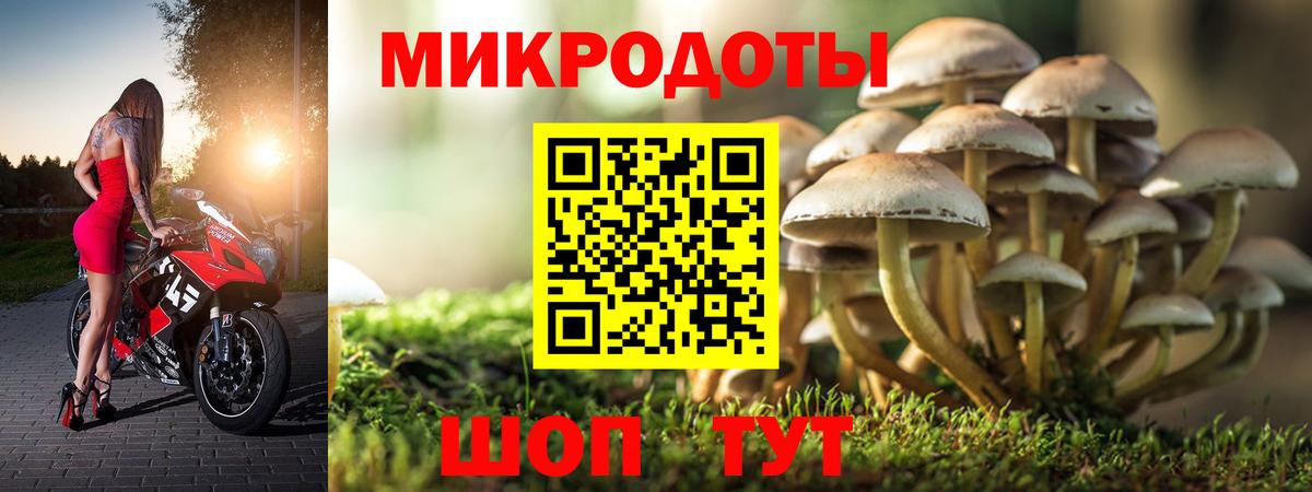 Карпинск  Галлюциногенные грибы Psilocybine cubensis  Вход с VPN 